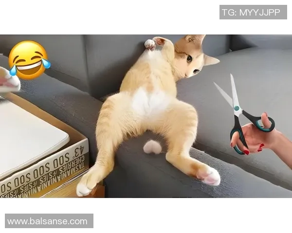 足球明星场下搞笑瞬间大揭秘笑翻全场的趣味时刻合集 足球明星场下搞笑瞬间大揭秘笑翻全场的趣味时刻合集