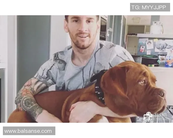 足球明星家的小狗与明星生活的趣味日常探秘 足球明星家的小狗与明星生活的趣味日常探秘