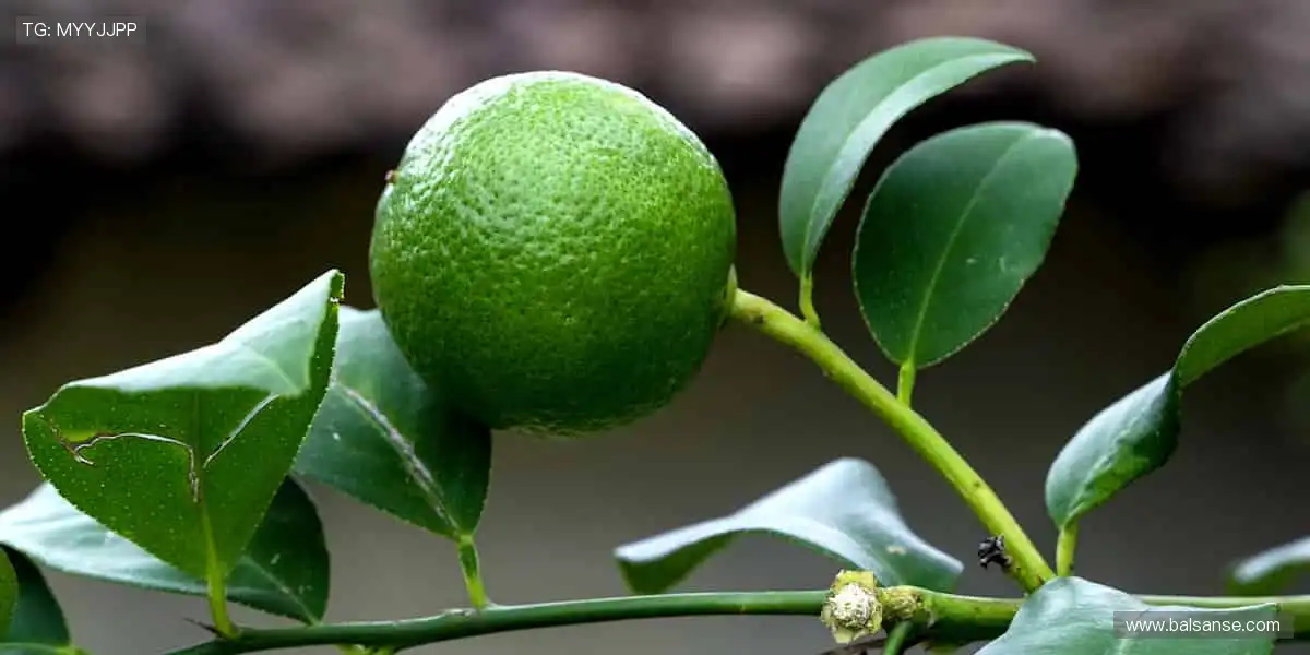 运动装备,点燃你的热爱!🔥👟